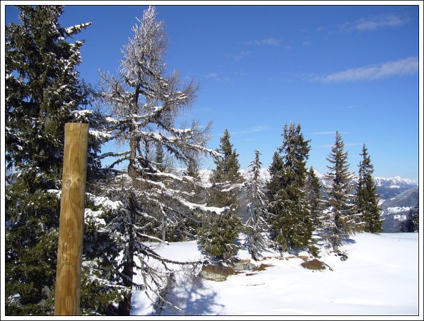 St. Johann - SKI AMADE